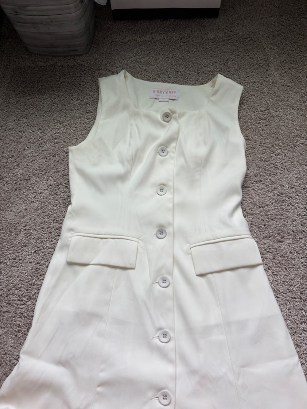 Birdy Grey Cream Sleeveless Button-Front A-Line Dress